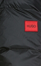 Hugo-Geaca din puf