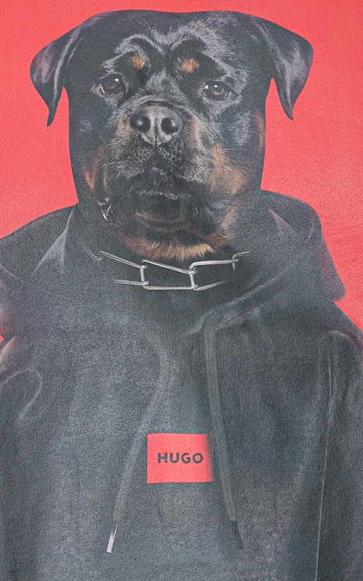 Hugo-Tricou Dound