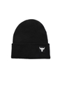 UNDER ARMOUR-Ανδρικός σκούφος UNDER ARMOUR Project Rock Beanie μαύρος